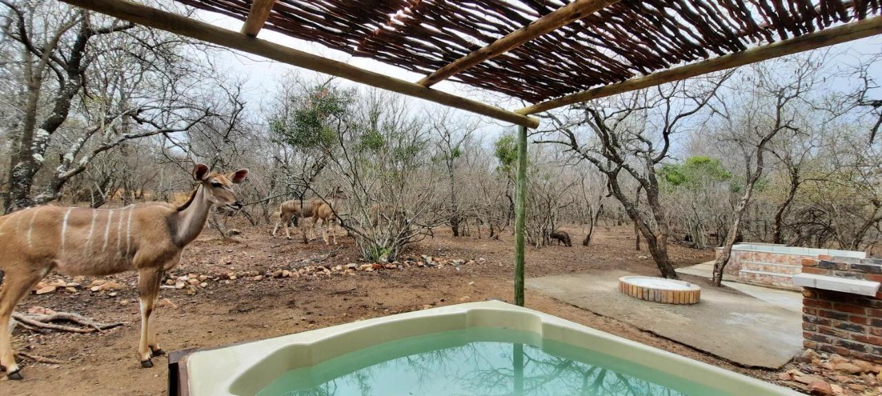 Elephant'S Hide Villa Marloth Park Exterior photo